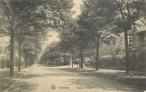 AK - Verviers Avenue Peltzer versandt 1915