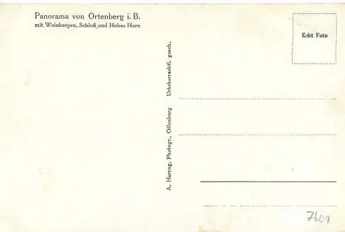 AK - Panorama von Ortenberg mit Weinbergen Schloß und Hohes Horn