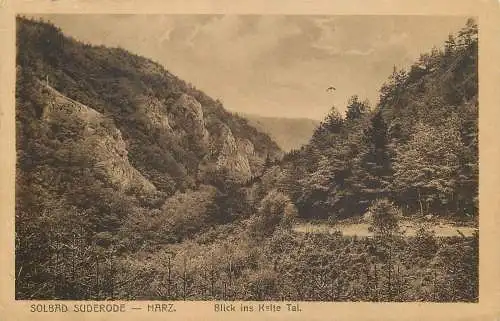 AK - Solbad Suderode Harz Blick ins Kalte Tal versandt 1928