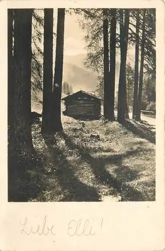 AK - Hütte im Wald versandt 1942