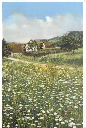 AK - Blumenwiese versandt 1934 Bad Ditzenbach