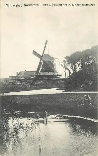 AK - Nordseebad Norderney Mühle und Schwanenteich