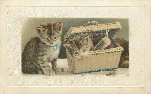 AK - Künstlerkarte zwei Katzen versandt 1911