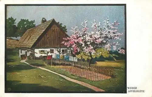 AK - Künstlerkarte Weber Apfelblüte 1919