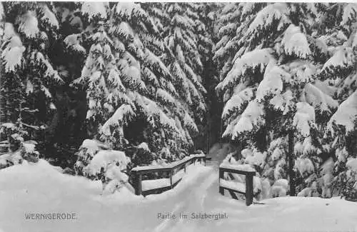 AK - Wernigerode Partie im Salzbergtal im Winter 1912