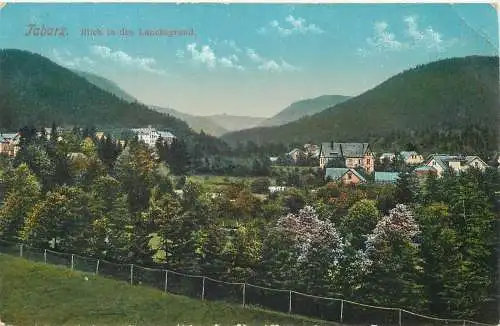 AK - Tabarz Blick in den Lauchagrund versandt 1912