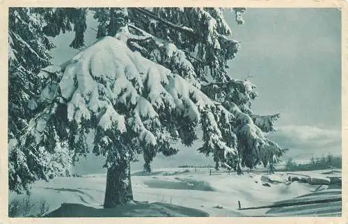 AK - Landschaftsaufnahme im Winter Schwere Last