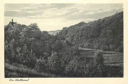 AK - Pönitz Scharbeutz in Ostholstein Am Waldrand