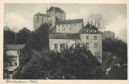 AK - Blankenheim Eifel Burg Weier nicht versandt