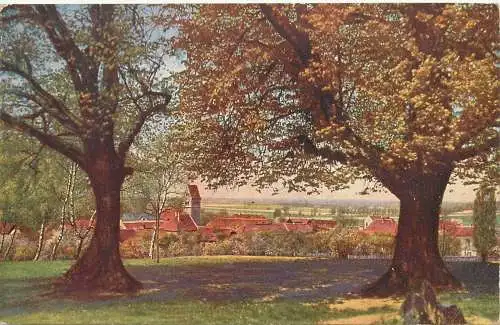 AK - Rhens Panorama zwischen zwei Bäumen versandt 1916 Feldpost