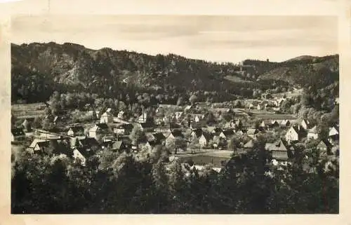 AK - Zittauer Gebirge Kurort Jonsdorf Blick vom Hyronimusstein versandt 1954