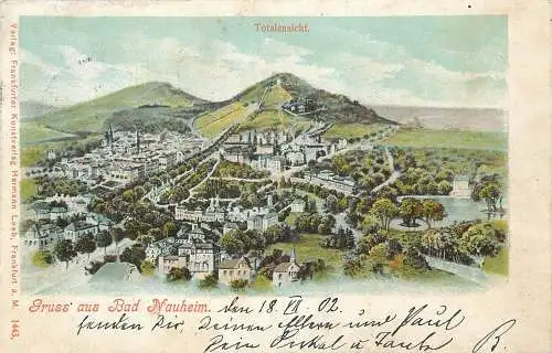 AK - Gruss aus Bad Nauheim Panorama versandt 1902
