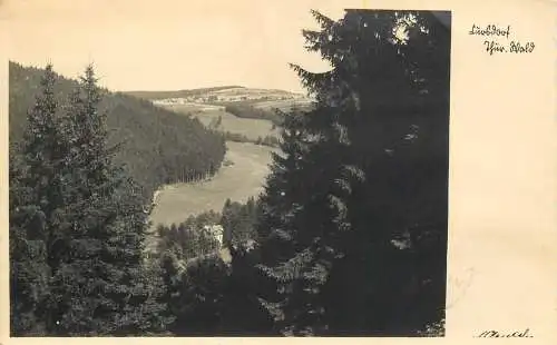 AK - Cursdorf Thüringer Wald mit Hütte versandt
