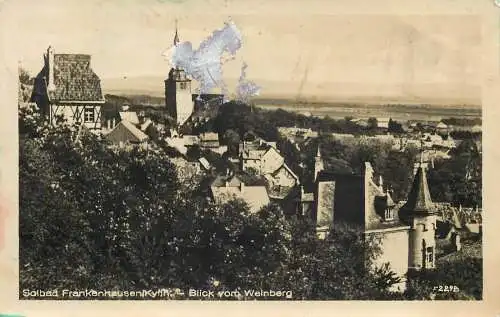 AK - Solbad Frankenhausen/Kyffh. Blick vom Weinberg versandt 1955