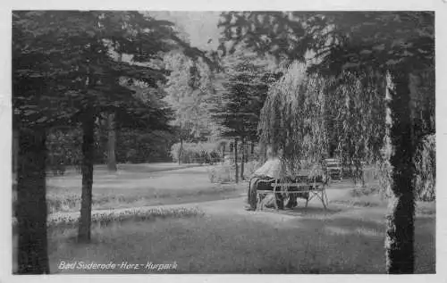 AK - Bad Suderode Harz Kurpark nicht versandt