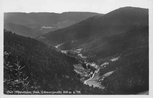 AK - Bad Rippoldsau-Schapbach - von oben nicht versandt