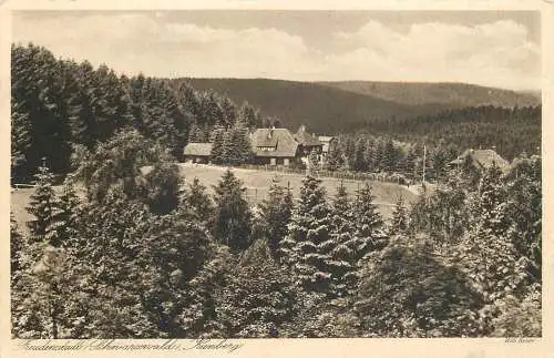 AK - Freudenstadt, Schwarzwald Kienberg Willi Kaiser