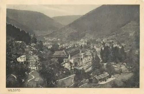 AK - Wildbad Schwarzwald Panorama versandt 1925
