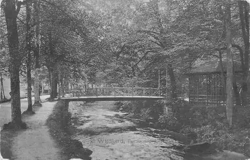 AK - Pavillon und Brücke Bad Wildbad Partie an der Enz