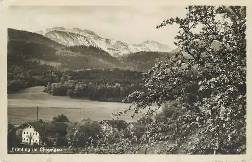 AK - Prien am Chiemsee Frühling im Chiemgau versandt 1929