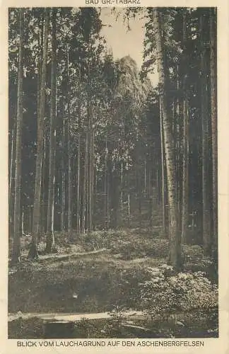 AK - Blick vom Lauchagrund auf den Aschenbergfelsen nicht versandt