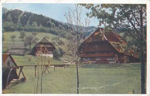 AK - Hütte mit Wälder Landschaft nicht versandt 1943