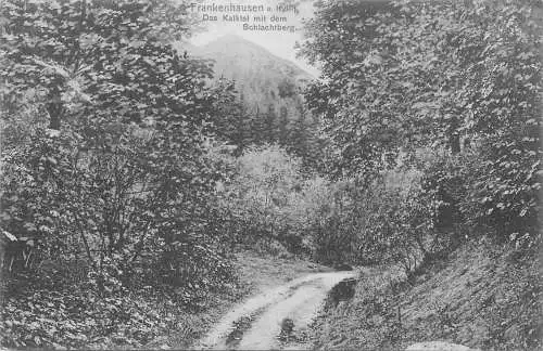 AK - Frankenhausen Das Kalktal mit dem Schlachtberg 1909