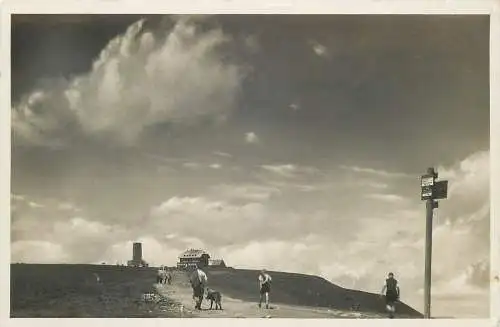 AK - Feldberg (Schwarz. 1495m ü.d.M.) nicht versandt