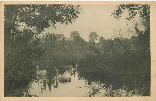 AK - A. Rupp, Idyll aus dem Spreewald nicht versandt