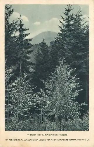 AK - Mitten im Schönblickwald bei Schwäb Gmünd versandt 1932