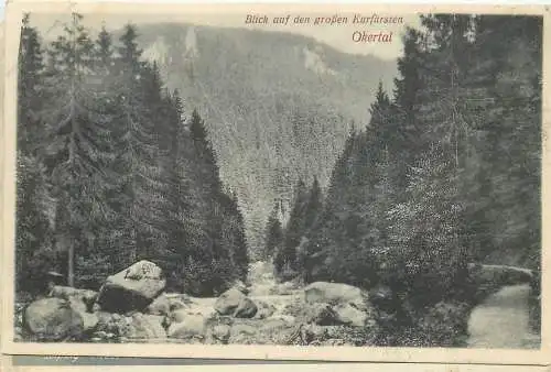 AK - Okertal Blick auf den großen Kurfürsten versandt 1939