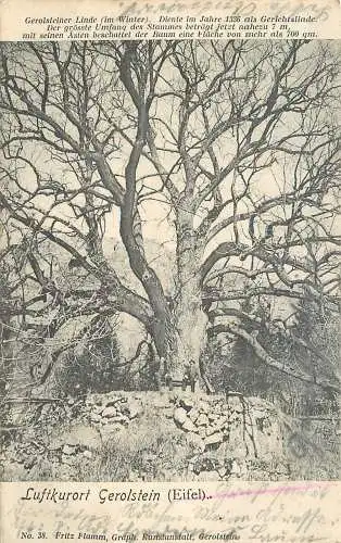 AK - Gruss aus Gerolstein Eifel Gerolsteiner Linde (im Winter) versandt 1904
