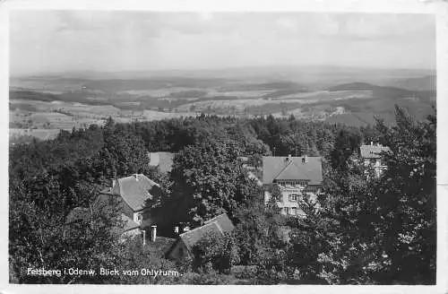 AK - Felsberg i. Odenw. Blick vom Ohlyturm Wald Restaurant