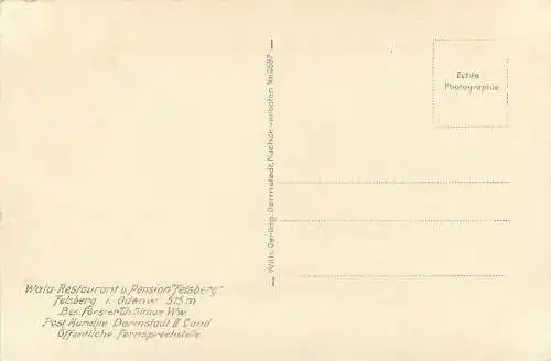 AK Felsberg i. Odenw. Blick vom Ohlyturm Wald Restaurant