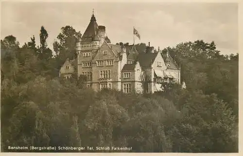 AK - Bensheim (Bergstraße) Schönberger Tal, Schloß Falkenhof