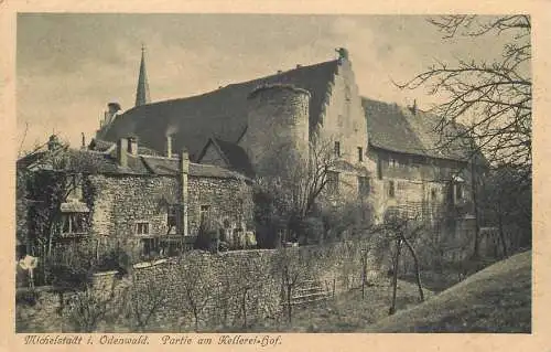 AK Michelstadt im Odenwald Partie am Kellerei Hof