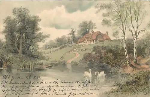 AK -  Meissner & Buch (M&B) Serie 1789: Schwäne auf einem Teich