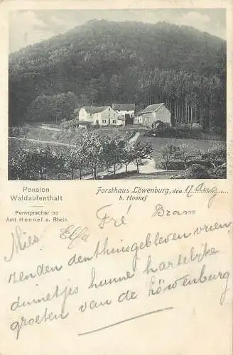 AK - Forsthaus Löwenburg bei Honnef Pension Waldaufenthalt