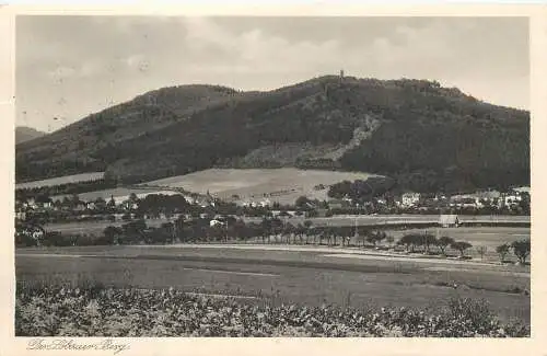 AK -  Der Löbauer Berg Turmwirtschaft versandt 1930 Löbau