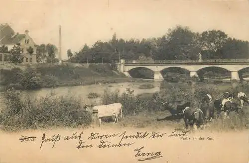 AK - Düren in Nordrhein Westfalen, Partie an der Johannes Brücke, Kuhweide