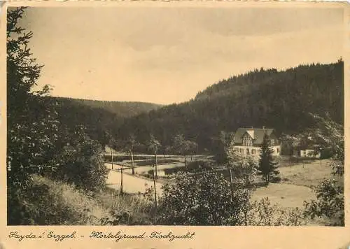 Ansichtskarte Sayda im Erzgebirge Klostergrund Fischzucht