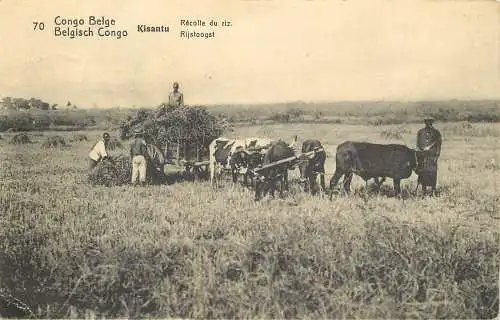 AK Belgisch Congo Kisantu Ganzsache versandt 1922