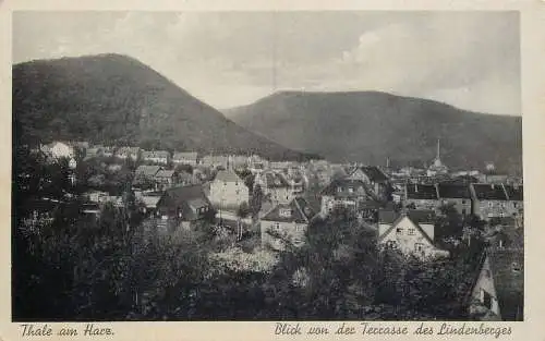 AK Thale am Harz Blick von der Terrasse des Lindenberges