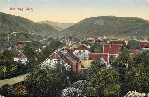 AK Litho, Ilsenburg (Harz) - Blick aufs Dorf