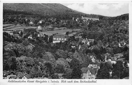 AK - Heilklimatischer Kurort Königstein im Taunus Blick Reichenbachtal