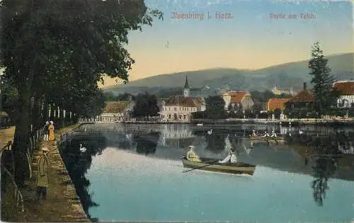 AK Litho, Ilsenburg (Harz) - Partie am Teich