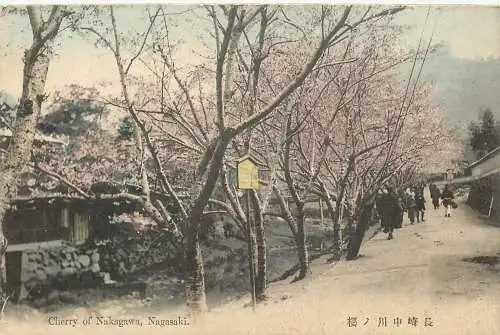 AK - Cherry of Nakagawa, Nagasaki nicht versandt