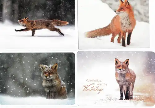 [Ansichtskarte] 9 x AK Postkarte / Ansichtskarte/ Grußkarte - Motiv: Fuchs / Füchse. 
