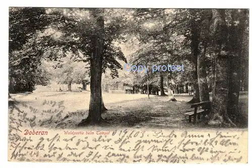 [Ansichtskarte] Doberan    Waldpartie beim Tempel 1903. 