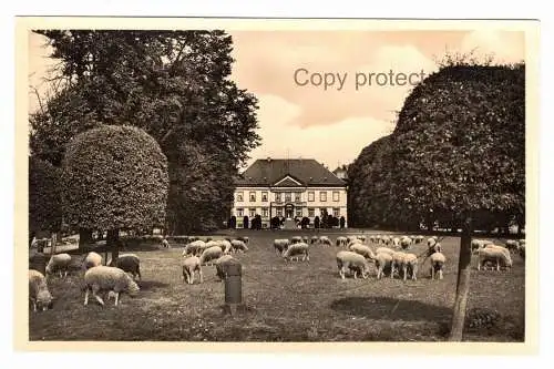 [Echtfotokarte schwarz/weiß] Hohen Luckow  1931  Rostock Land. 